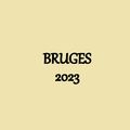 A BRUGES : BOUTIQUE SUPER laine de luxe 