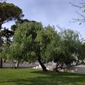 Toulon - le parc Alexandre 1er