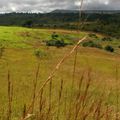 Landscape of Ituri