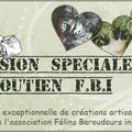 Mission spéciale FBI : c'est reparti !