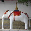 La légende de l'éléphant blanc du Doi Suthep