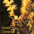Rien ne remplace l'ouverture des bras / Fleur de Bach : Sweet Chestnut (2/3)
