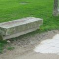 Poètes et sportifs