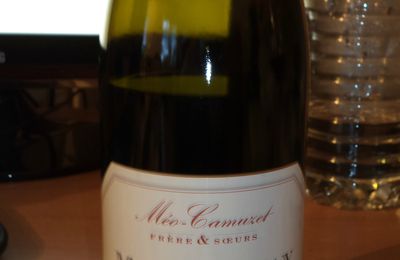 Meo Camuzet 2010 marsannay