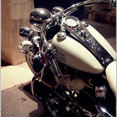 Sur Ma Harley Davidson...