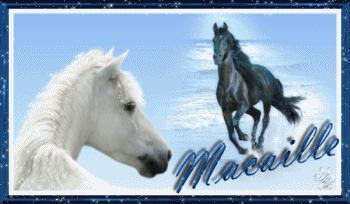 Signature Licorne, Chevaux