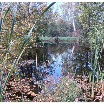 Le Week-end en Picardie