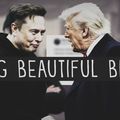 Trump-Musk : les raisons et les leçons d’un divorce fracassant 