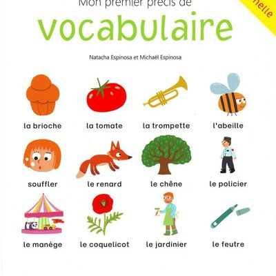POUR UNE POIGNEE DE MOTS