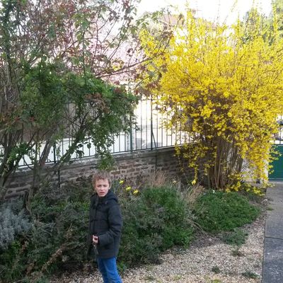 My house, in the middle of my street