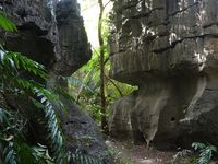 Voyage en Sulawesi - Visite du site de Ramang ramang puis direction Rantepao la capitale du Pays Toraja