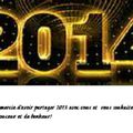 Sihane et le wax en folie vous souhaitent une TRES BONNE ANNEE 2014