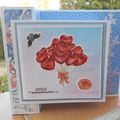 cartes en mai pour des anniversaires