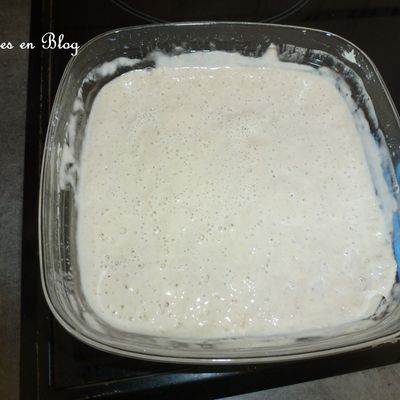 LEVAIN A BASE DE POMME