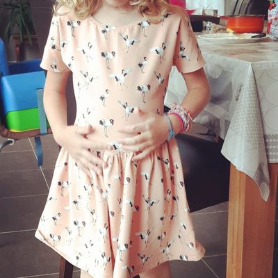 Robe jersey Flamands roses