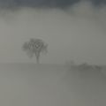 La Lomagne dans la brume !