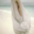 David Hamilton