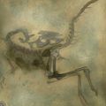 Compsognathus longipes (moulage): micro-dinosaures théropode du jurassique supérieur européen