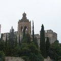 L'abbaye royale de Santes Creus, historique