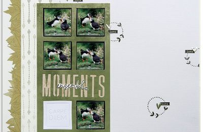 Défis Ha.Pi Little fox: #2