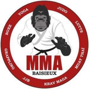 Training au MMA BAISIEUX: