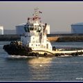 Les dessous de l'Abeille SAINTE ADRESSE