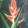 HELICONIA