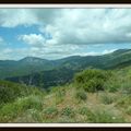 Zeus,Apollon, Athena et les autres