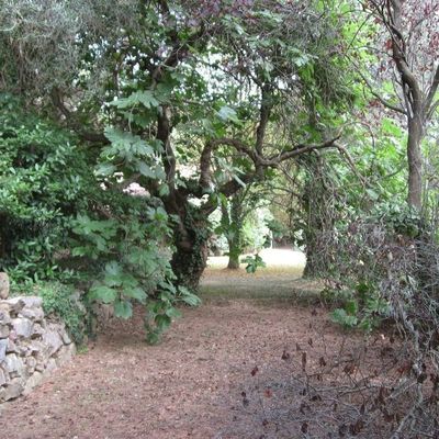  Doc TV la 5 ( Semeur de Forêts 