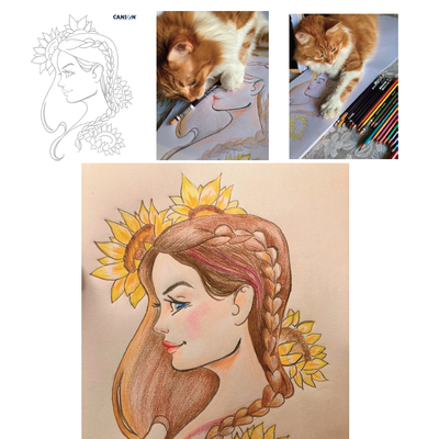 Une mise en couleurs