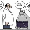 secret du chat