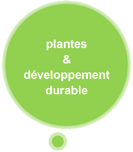 Plantes & Développement durable 