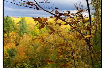 L'automne est bien installé