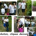 Quartier Drouot-Barbanègre - Ça jardine fort à la journée citoyenne...