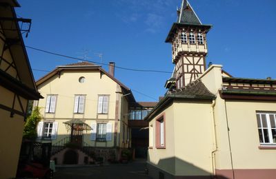 Visite/dégustation au Domaine Trimbach à Ribeauvillé (Alsace)
