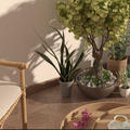 Désireuse de passer en mode cocooning en transformant l'intérieur en univers douillet