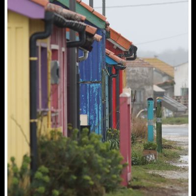 Vivre de la mer sur l'île d'Oléron