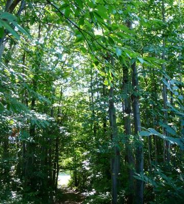 Les alentours proches