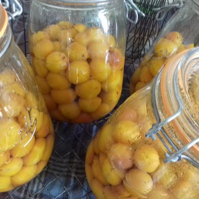conserves de mirabelles au naturel