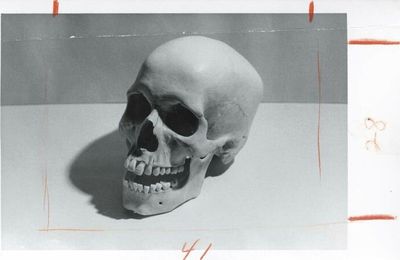 Andy Warhol (1928-1987), Skull