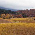 pendant que je rêvais à la Crête, l'automne s'est