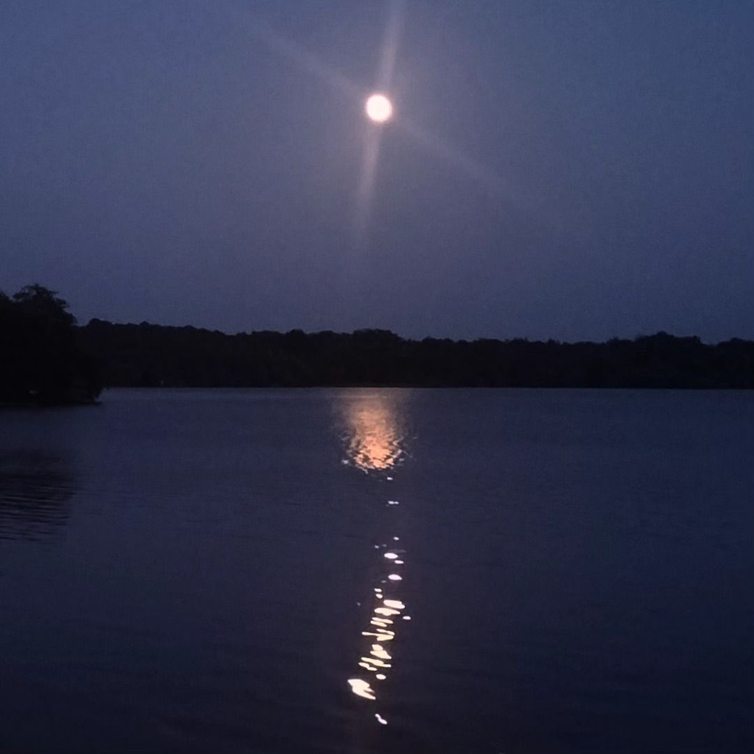 Azur, lune sur étang, aout 2025, insta (40)