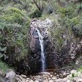 Waterfalls Gully-Cambeltown
