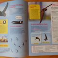 L'Oiseau Mag Junior du printemps 2019 + TIRAGE AU SORT !