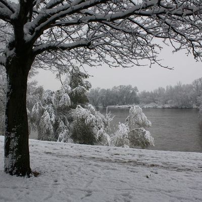 Neige en bords de Loire, du coté d'Orléans