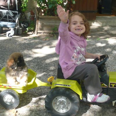 Happy Sunday Evening 5 Saison II