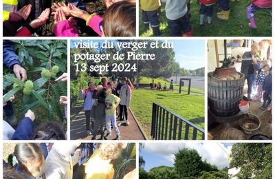 Première sortie de l'année: le verger de Cornebarrieu. 