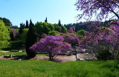 Glanum - une cité romaine à ciel ouvert