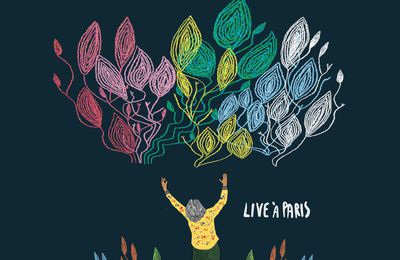 Itiberê Zwarg & Orquestra Familia da França : un Live In Paris au sommet