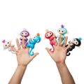 Combien coûte un Fingerling ?